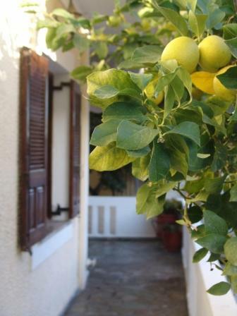 Artistica Villa Ermioni Ngoại thất bức ảnh
